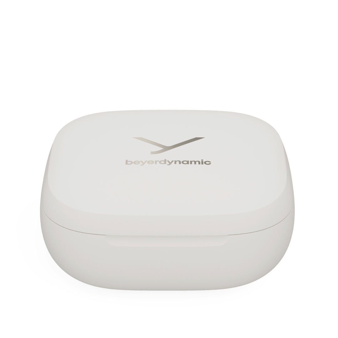 AMIRON 300 Hi-Res Audio - Active Noise Cancellation charging case