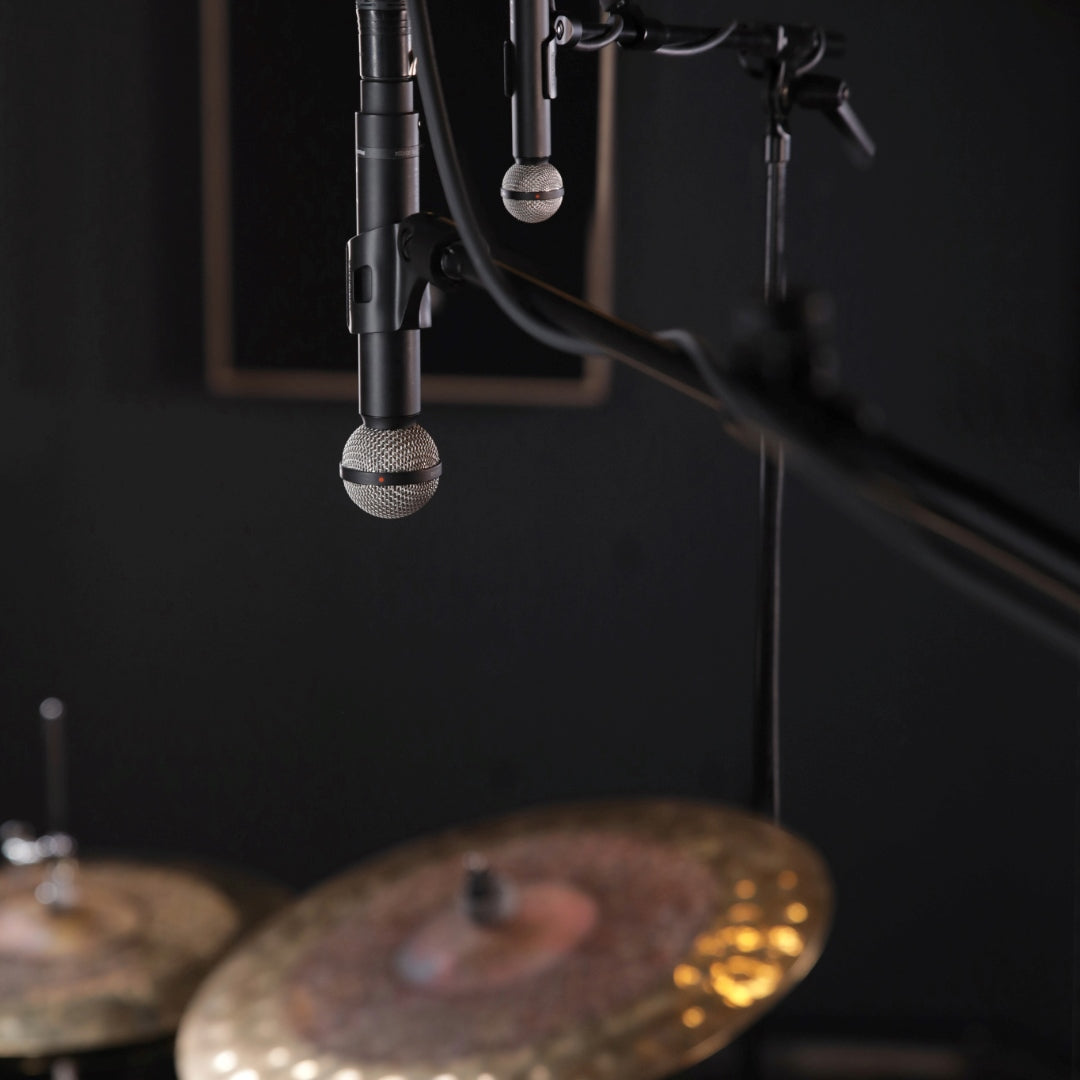 M 160 Dynamic Double-Ribbon Microphone for over heads